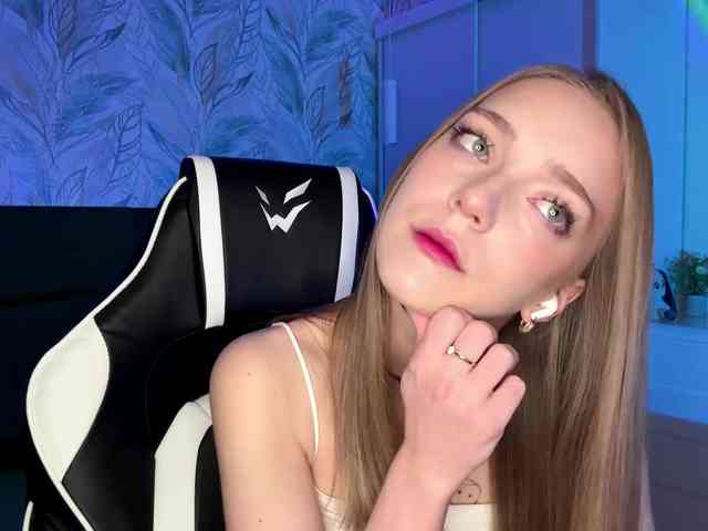 VersieBruegman webcam