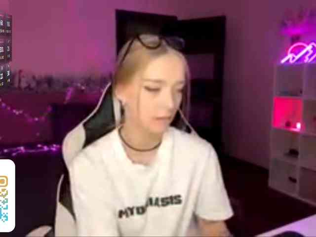 VersieBruegman webcam