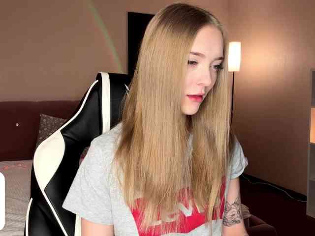 VersieBruegman webcam