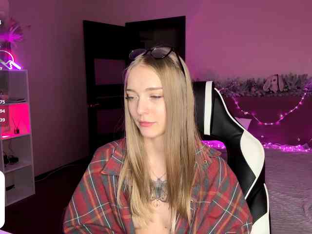 VersieBruegman webcam