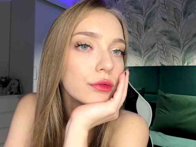 VersieBruegman webcam