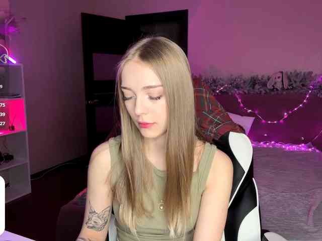 VersieBruegman webcam