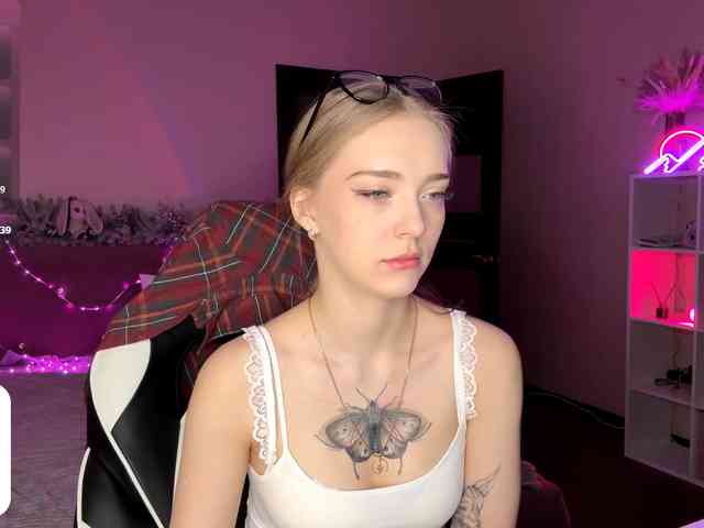 VersieBruegman webcam