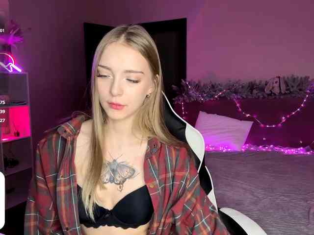 VersieBruegman webcam