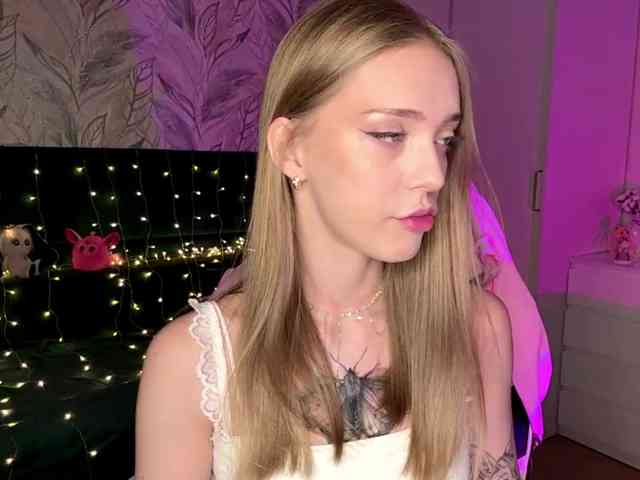 VersieBruegman webcam