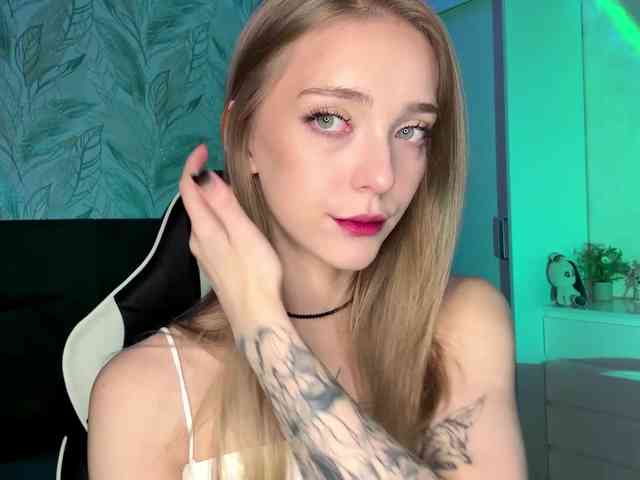 VersieBruegman webcam