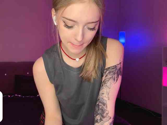 VersieBruegman webcam