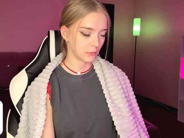 VersieBruegman webcam