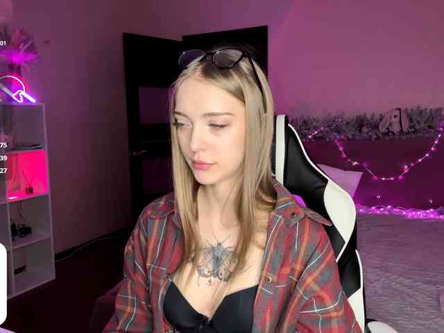 VersieBruegman webcam