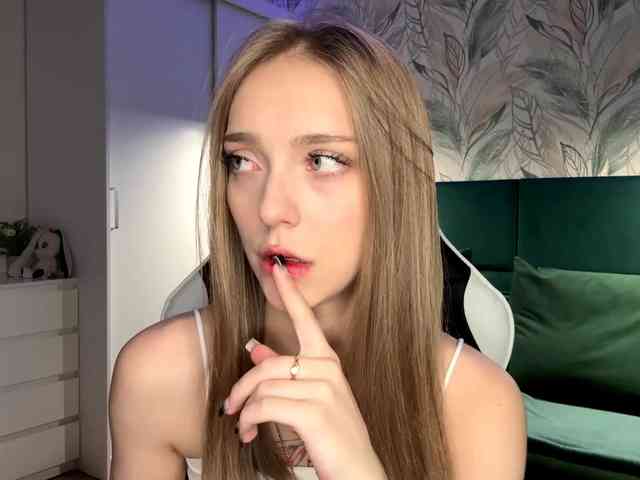 VersieBruegman webcam