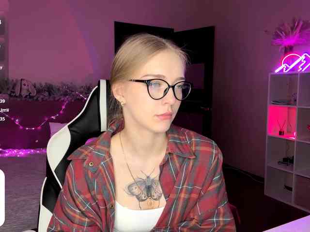 VersieBruegman webcam