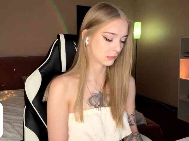 VersieBruegman webcam