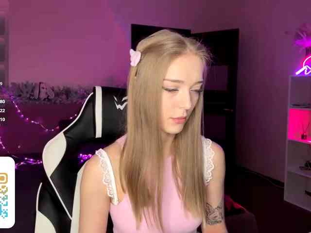 VersieBruegman webcam