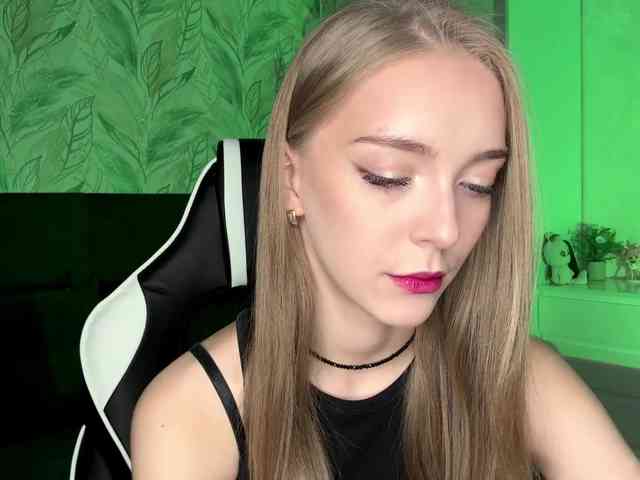 VersieBruegman webcam