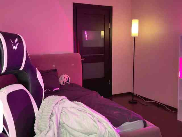 VersieBruegman webcam