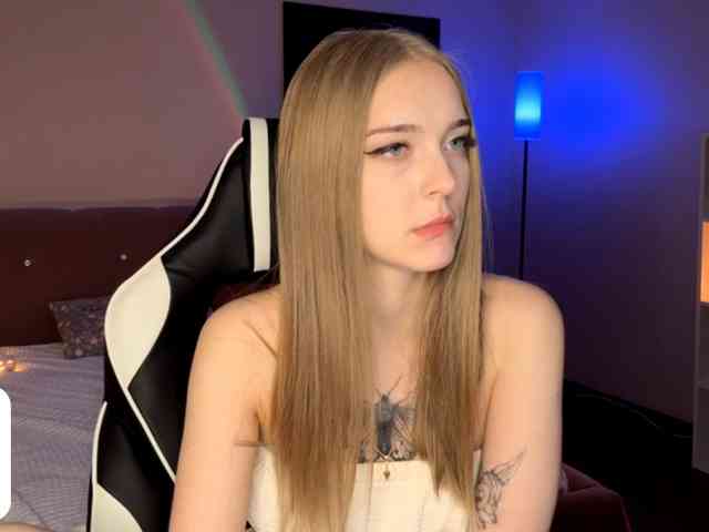 VersieBruegman webcam