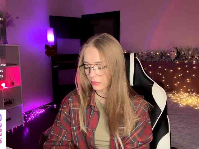 VersieBruegman webcam