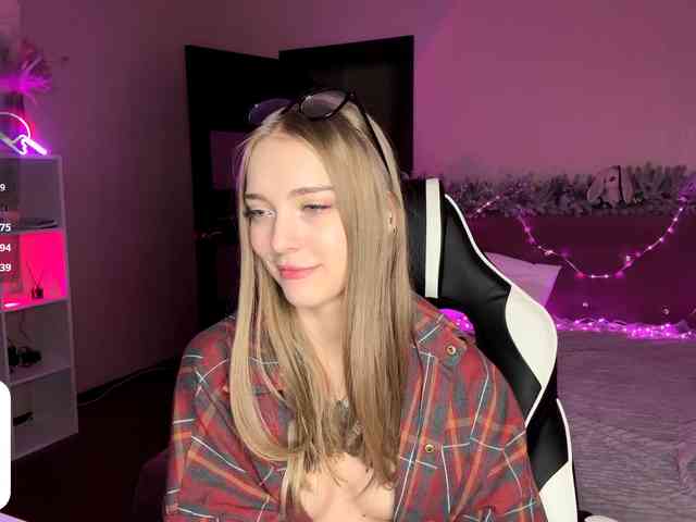 VersieBruegman webcam