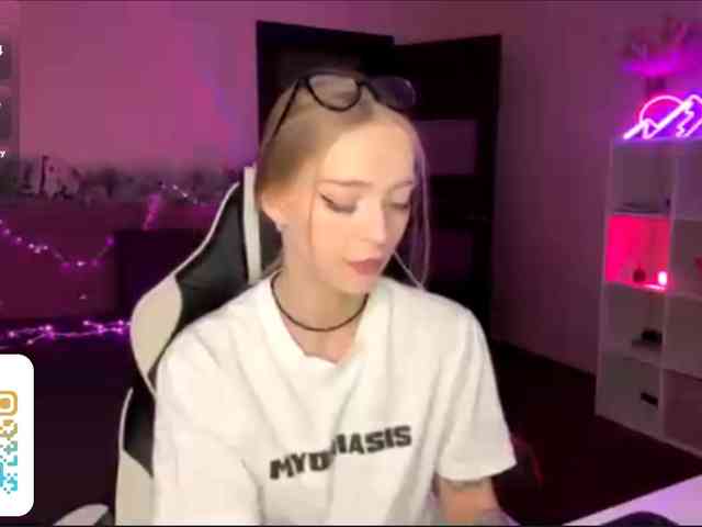 VersieBruegman webcam