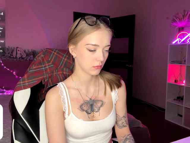 VersieBruegman webcam