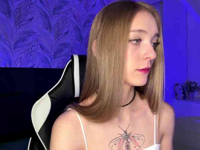 VersieBruegman webcam