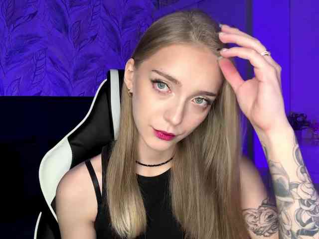 VersieBruegman webcam