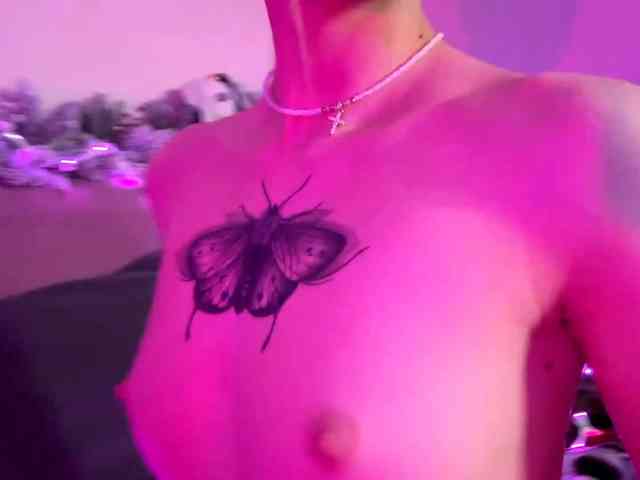 VersieBruegman webcam