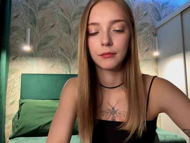 VersieBruegman webcam