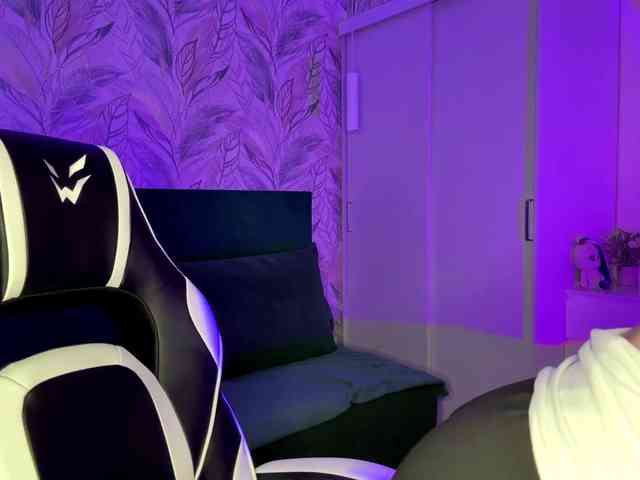 VersieBruegman webcam