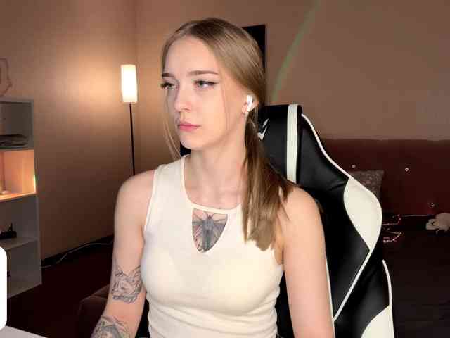 VersieBruegman webcam