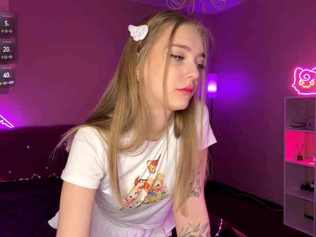 VersieBruegman webcam