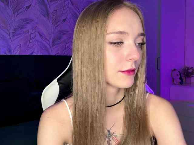 VersieBruegman webcam