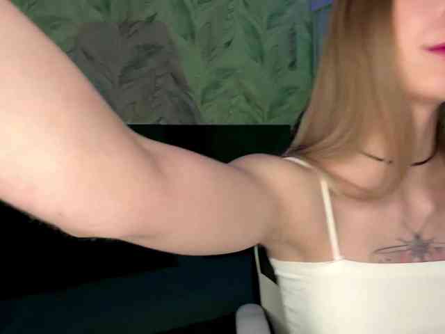 VersieBruegman webcam