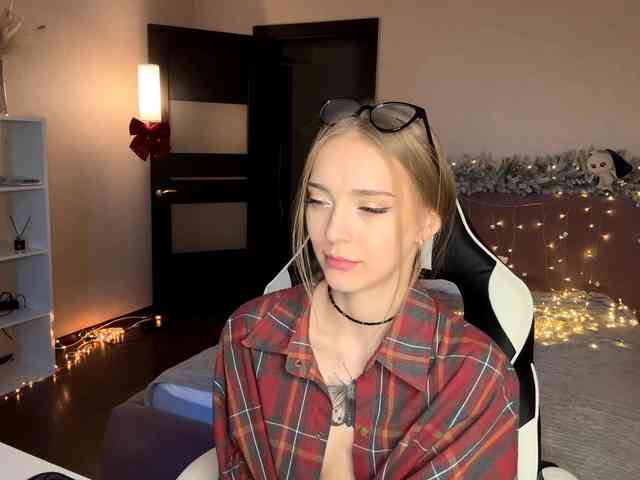 VersieBruegman webcam