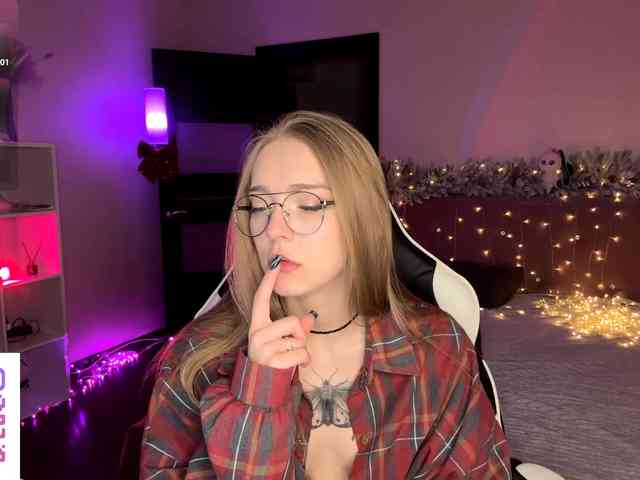 VersieBruegman webcam