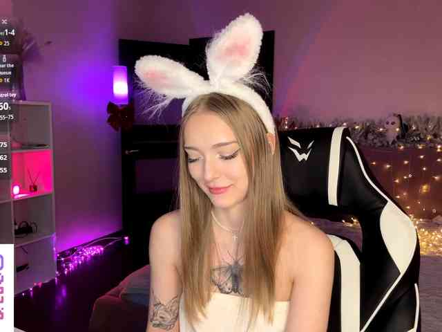 VersieBruegman webcam