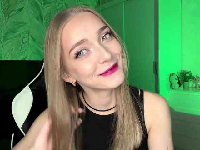 VersieBruegman webcam