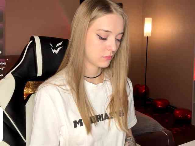 VersieBruegman webcam