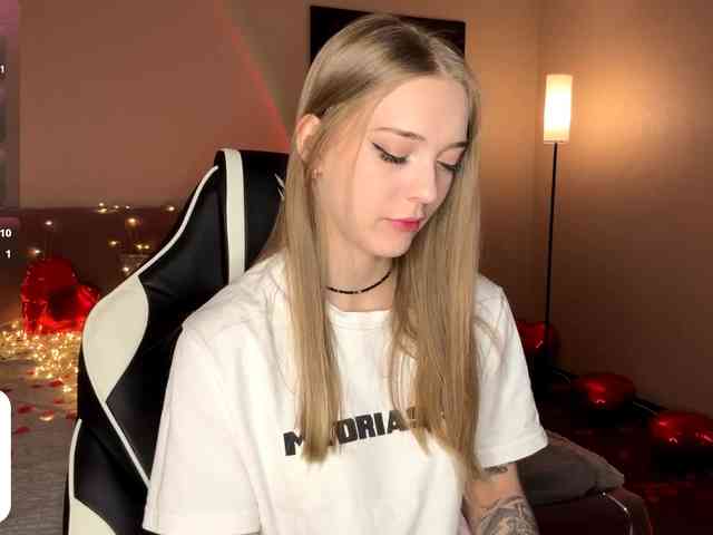 VersieBruegman webcam