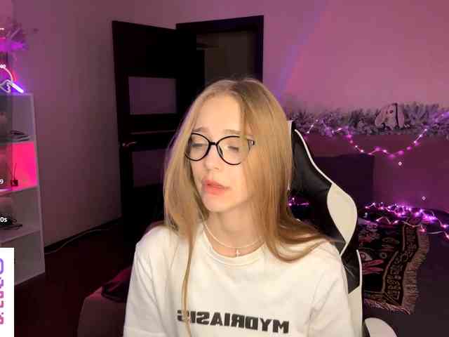 VersieBruegman webcam