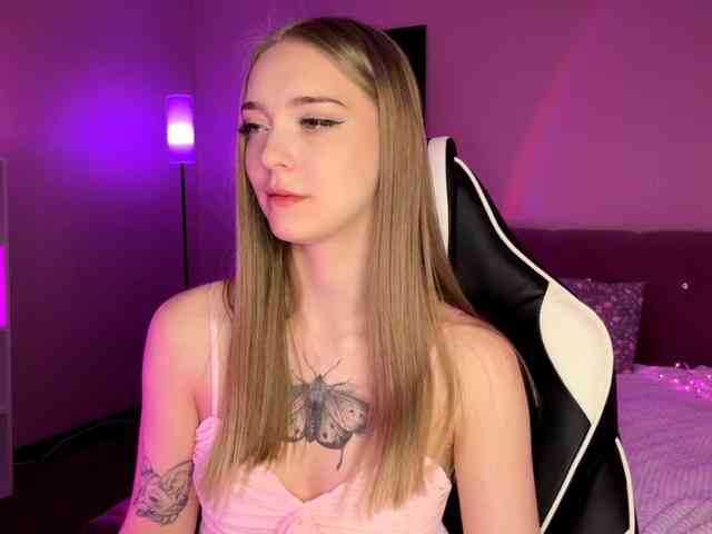 VersieBruegman webcam