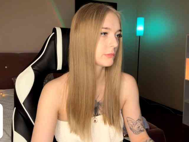 VersieBruegman webcam