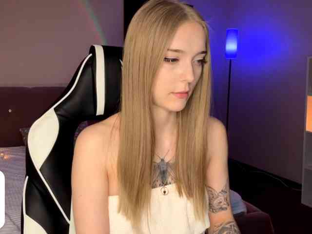 VersieBruegman webcam