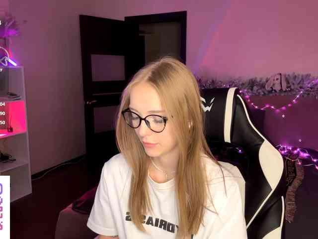 VersieBruegman webcam