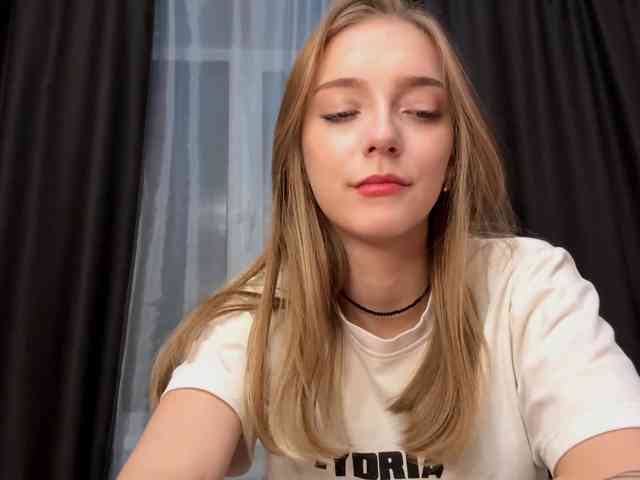 VersieBruegman webcam