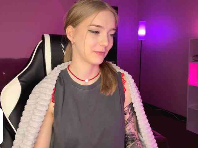 VersieBruegman webcam