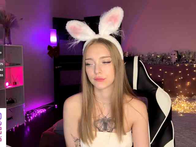 VersieBruegman webcam