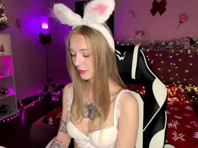 VersieBruegman webcam