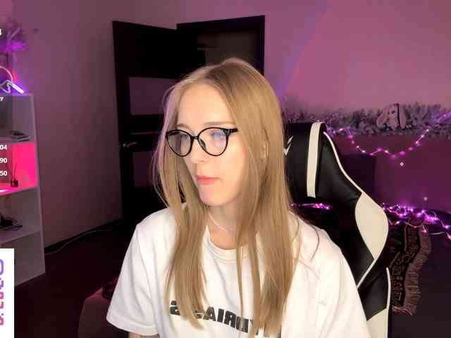 VersieBruegman webcam