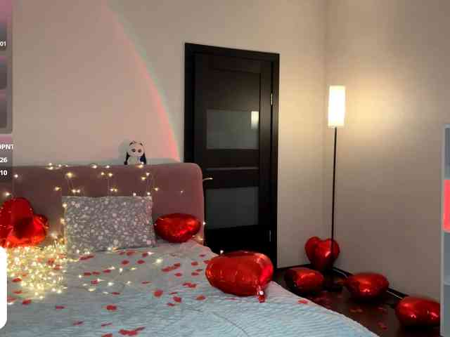 VersieBruegman webcam